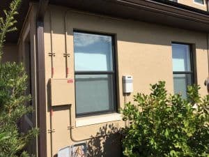 Paint And Placards 2